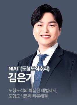 국정원 김은기 도형도식추리